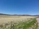 DSC05678.JPG