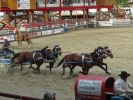 image010~4.jpg