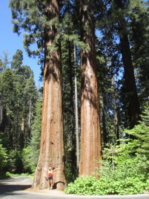 image003~11.jpg