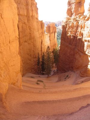 image006~1.jpg
