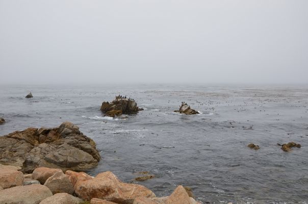 k-DSC_1420.JPG