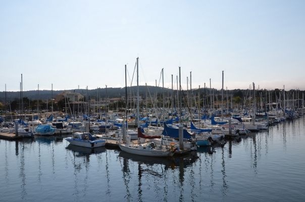 k-DSC_1511.JPG