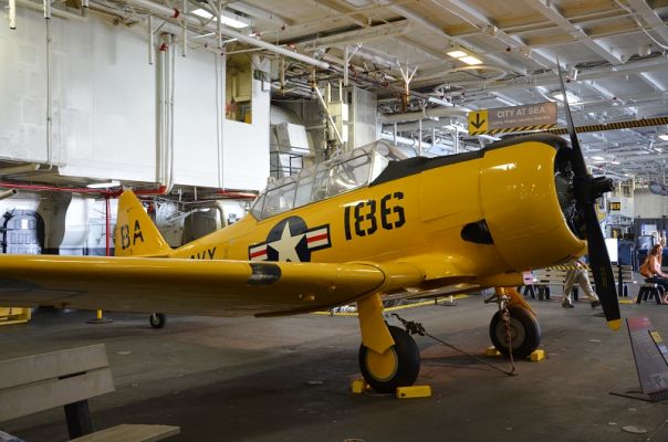 k-DSC_2307.JPG