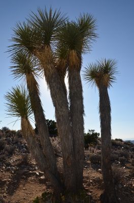 k-DSC_2548.JPG