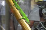 k-DSC_1115.JPG