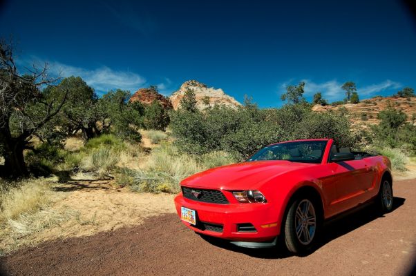 Mustang im Zion NP
nicht meiner ;)
