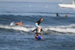 IMG_0236_(800x533).jpg