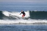 IMG_0287_(800x533).jpg
