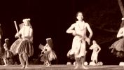 P1050241_(800x450).jpg