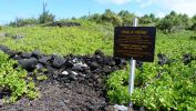 P1050544_(800x450).jpg