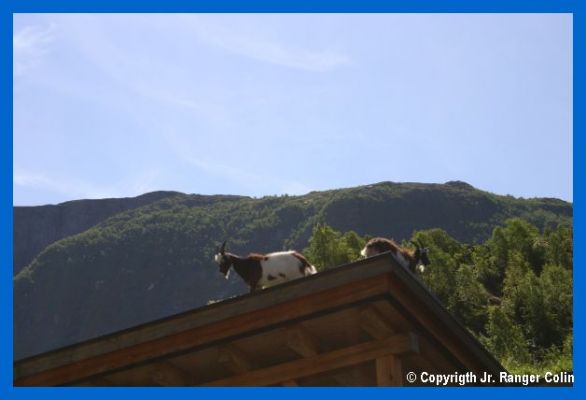 comp_IMG_5596.jpg