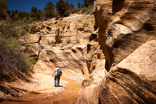 Canyon an der Skutumpah Road
