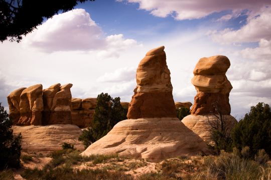 Devil's Garden
