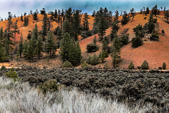 Red Canyon
