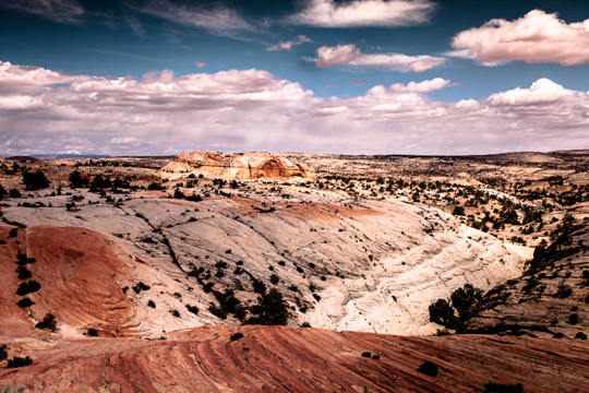 0427-bighorncanyon-9290.jpg