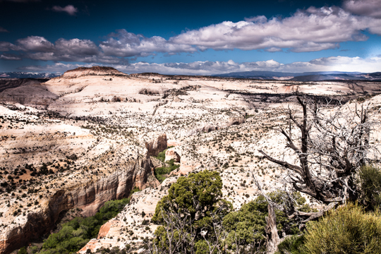 0427-ut12-9237.jpg