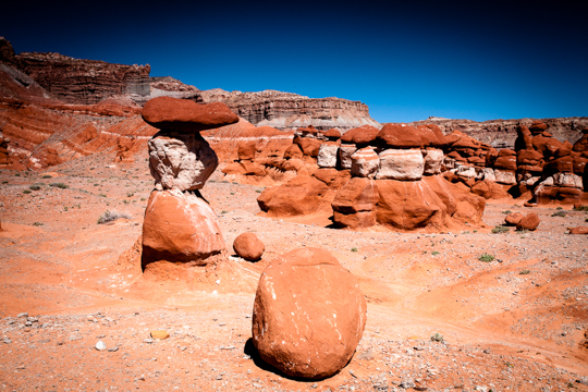 0428-littleegypt-9449.jpg