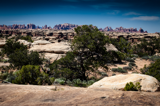 0430-needles-9675.jpg