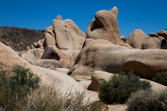 0510-joshua-1207.jpg