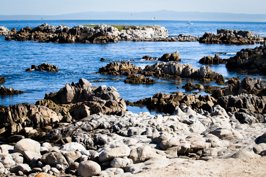 0513-monterey-1403.jpg