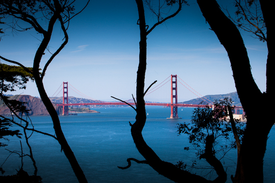 0513-sfo-1443.jpg