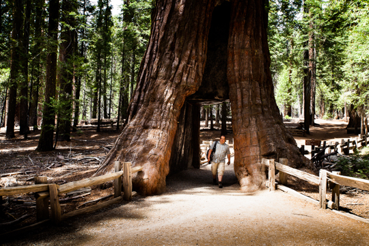 0516-yosemite-1797.jpg