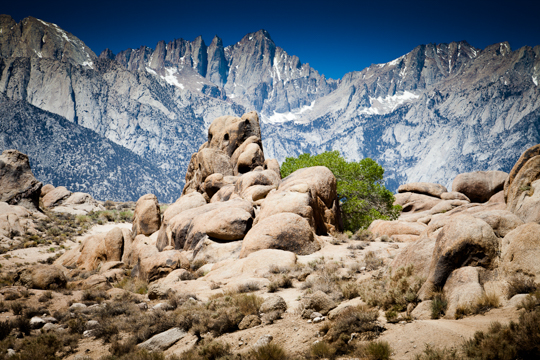 0518-alabamahills-2020.jpg