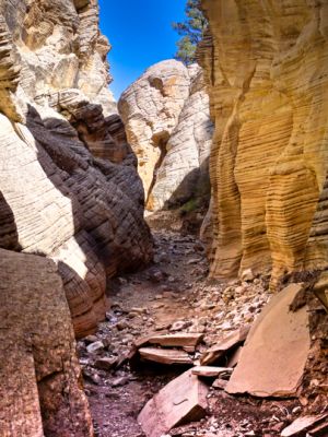 Canyon an der Skutumpah Road
