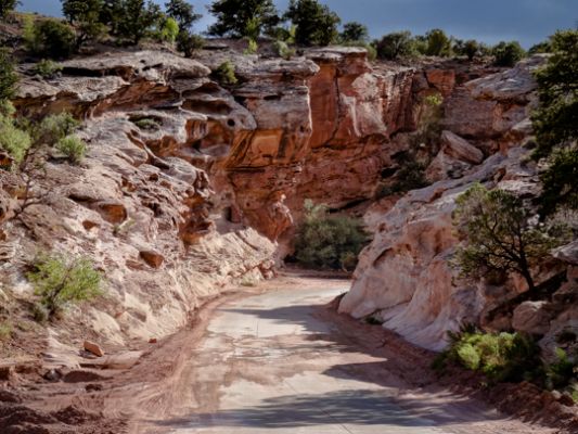 0427-capitolreef-01943.jpg