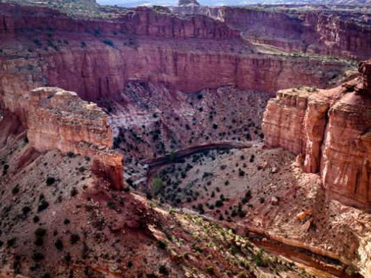 0427-capitolreef-01945.jpg
