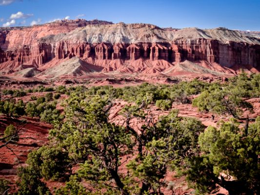0427-capitolreef-01952.jpg