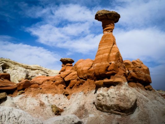 0506-toadstool-02619.jpg