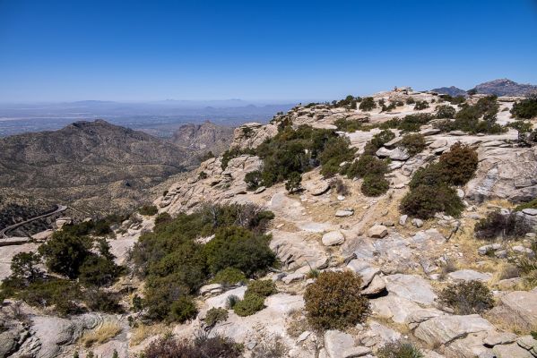 E07-013.jpg