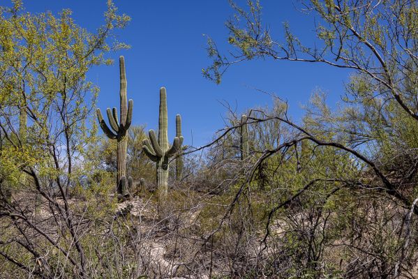 E07-095.jpg