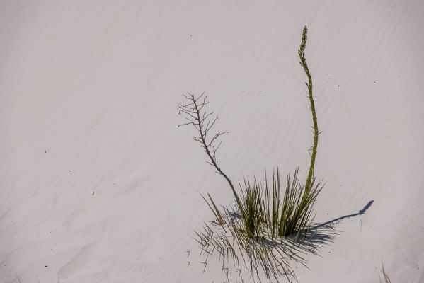 E08-009.jpg