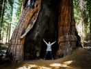 0516-yosemite-03320.jpg
