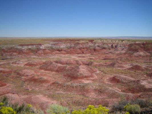 Painted Desert.jpg