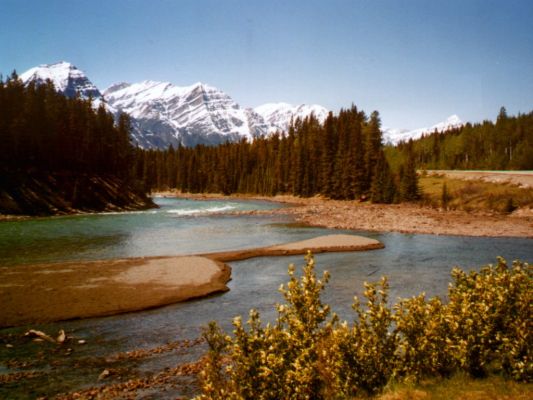 sc_icefield_parkway.jpg