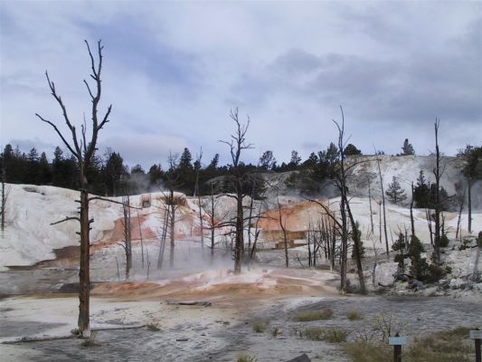 yellowstone.JPG