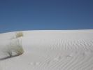 whitesands002.jpg