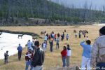 Menschenmassen beobachten Tiere im Yellowstone N.P.