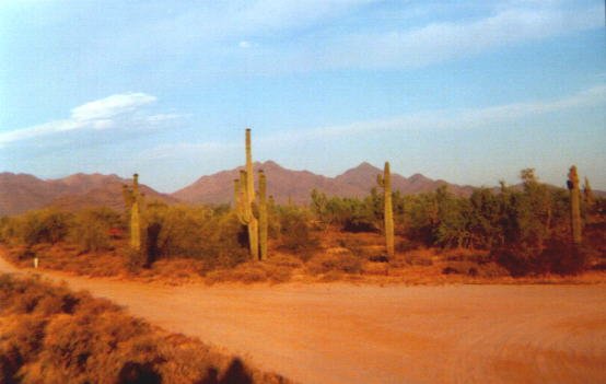 Wüste in Arizona
Schlüsselwörter: Wüste, Arizona, Rawhide Wild West Town, Phoenix, Scottsdale, USA