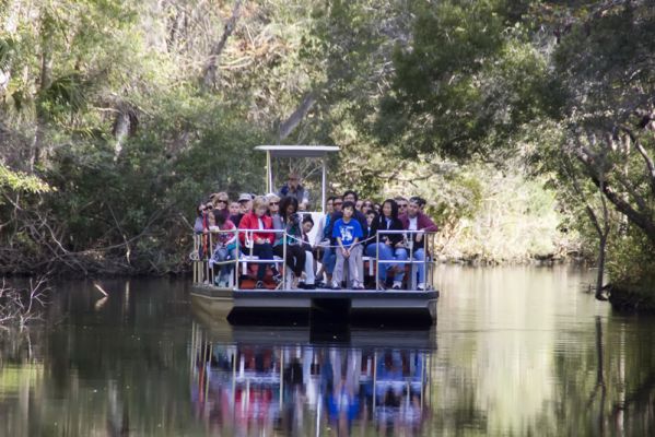 Homosassa
