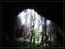 Big Island: Kazumura Lava Cave