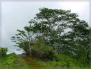 kuilauridgetrail.jpg