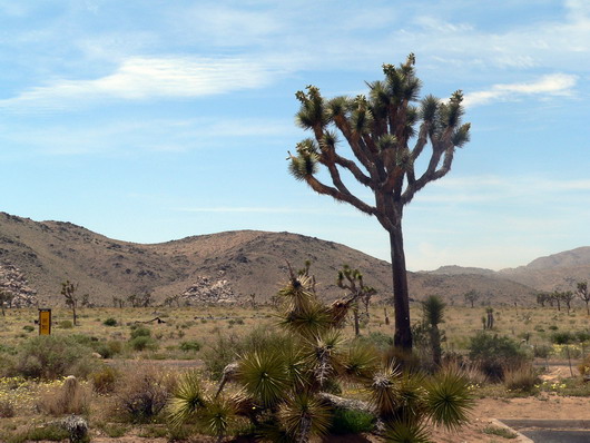 ca14a.jpg