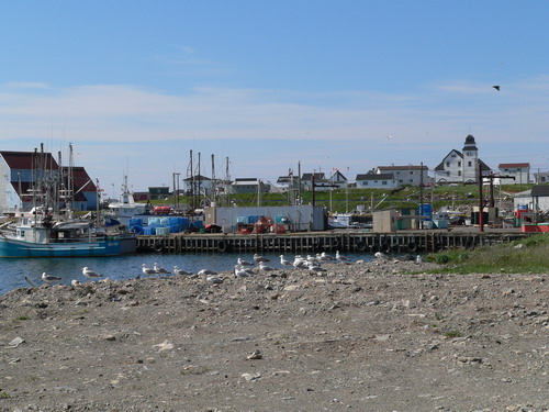 capebonavista3.jpg