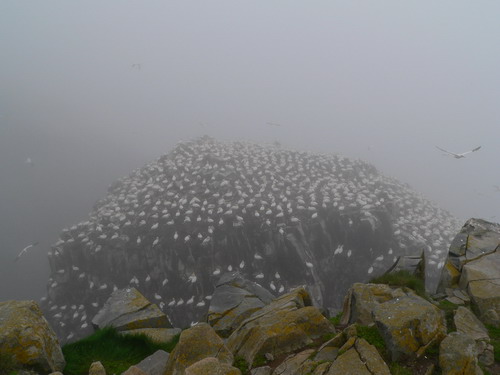 capestmarys1.jpg