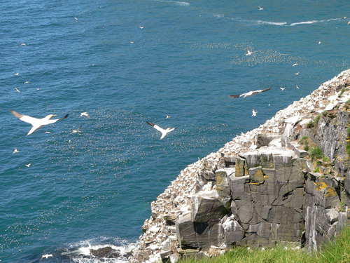 capestmarys5.jpg
