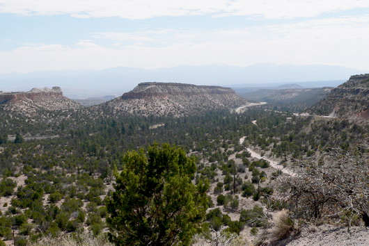 nm13a.jpg